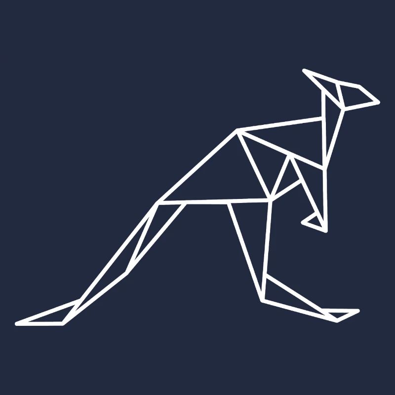 Kangaroo Geometry Lines