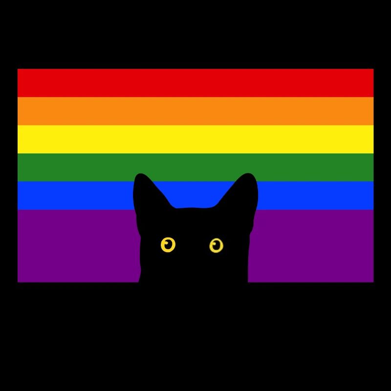 Chat jetant un coup d’œil sur le drapeau arc-en-ciel