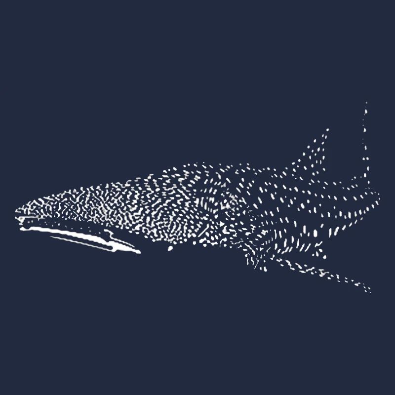 Requin-baleine