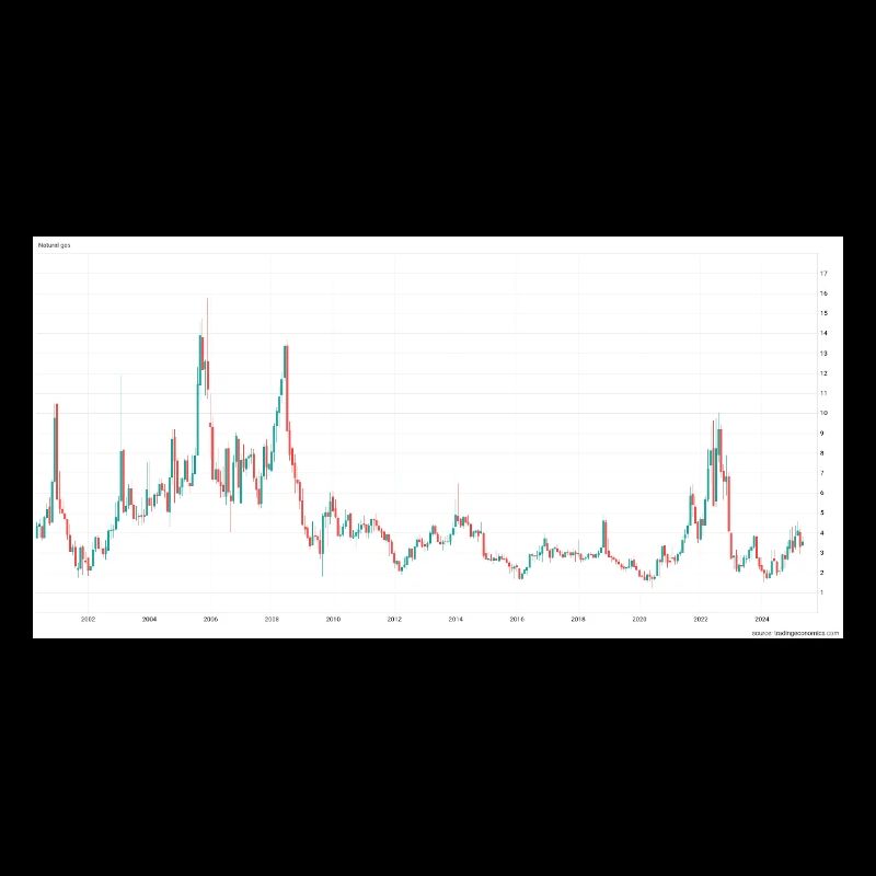 "Share The Gains" T-Shirt mit Grafik