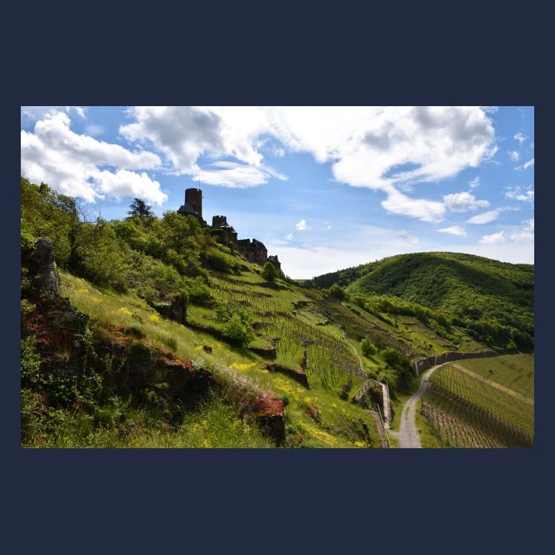 Moselle, castle, vineyard, panorama