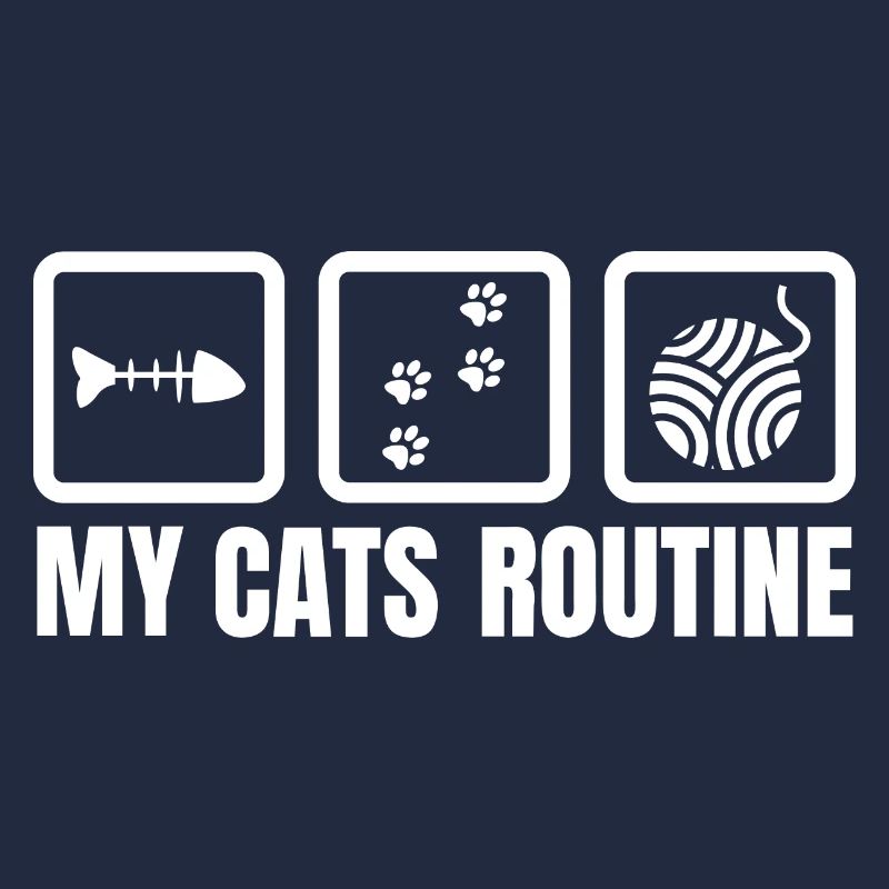 My cat's routine