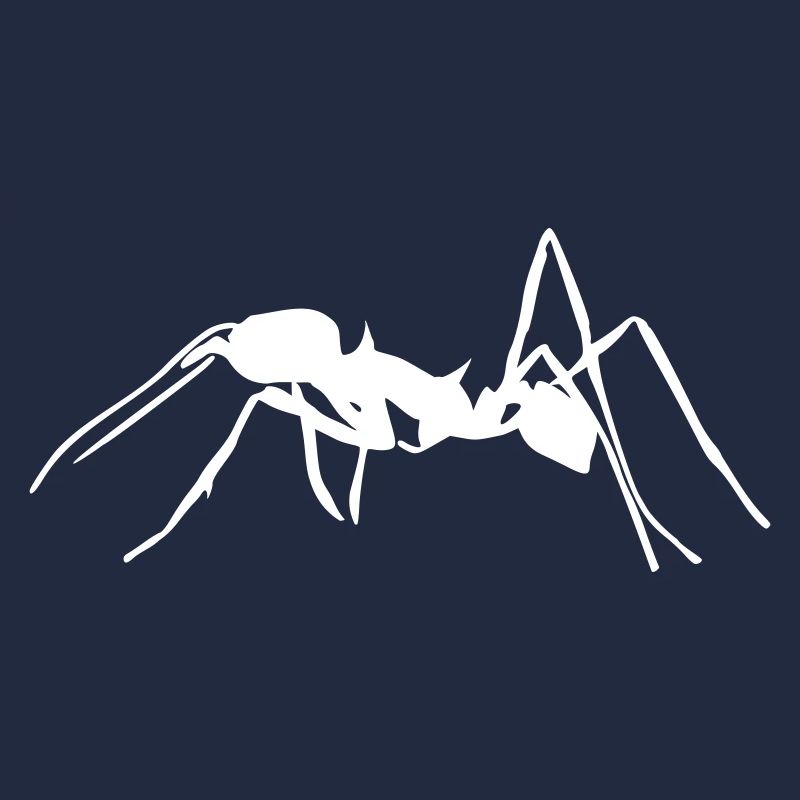 Ant