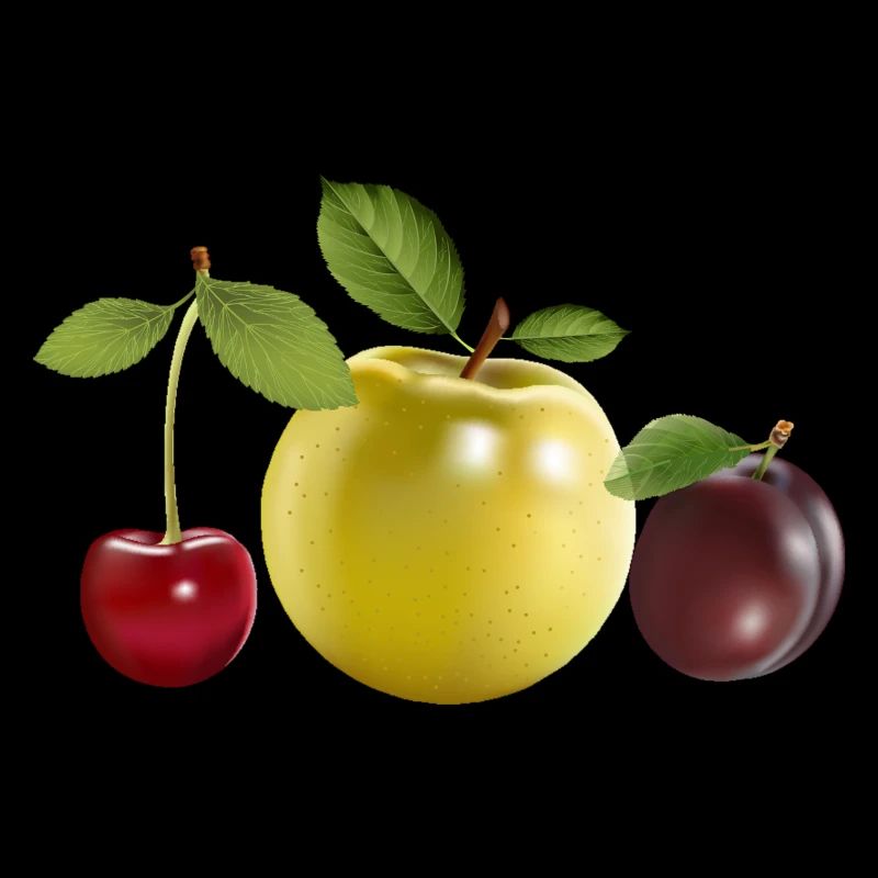 fruit