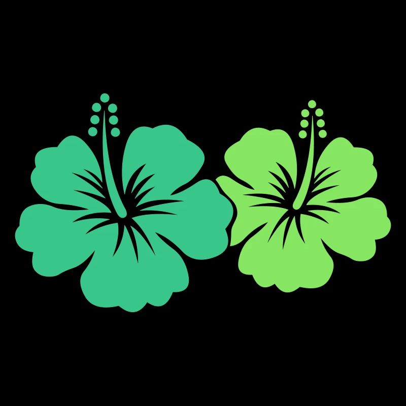 Fleur d’hibiscus