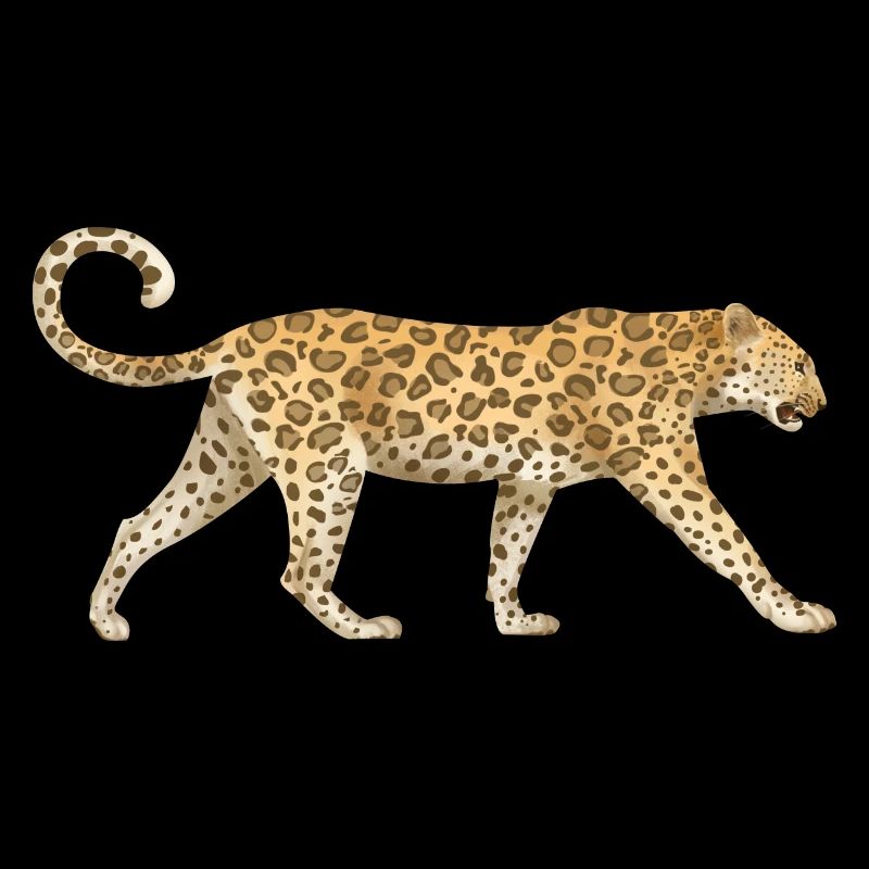 Leopard Katzen Afrika Tiere