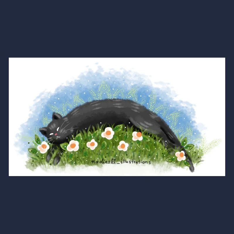 Le chat dort