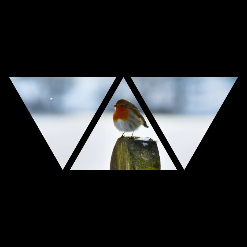 Bird Triangle Nature Snow Winter Gift
