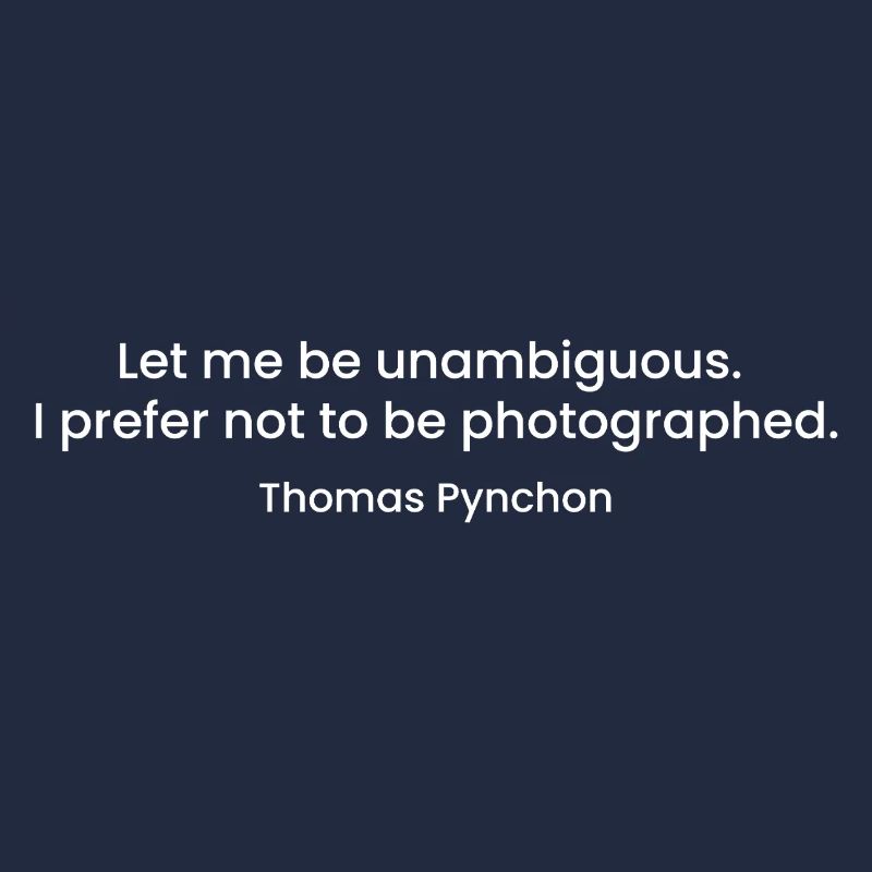 Citation de Thomas Pynchon
