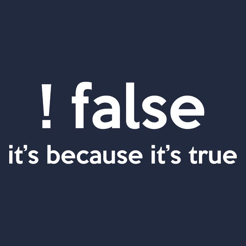 False It's Funny Because It's True Programmer Comp