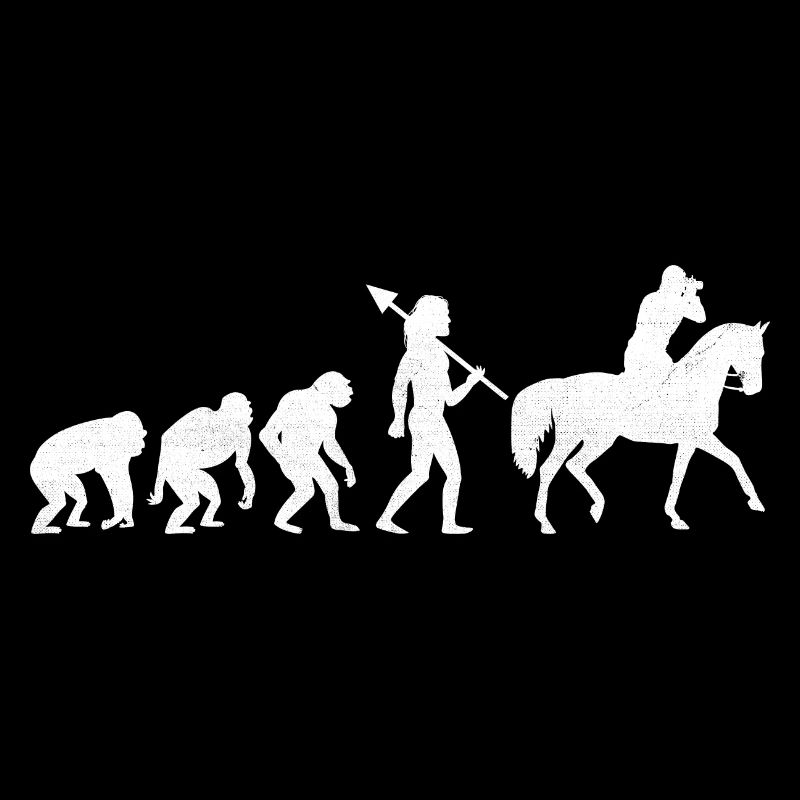 Photographie de cheval Équitation Evolution Photo