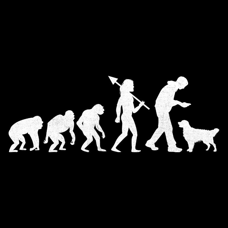 Evolution Golden Retriever GR Dog Retrievers