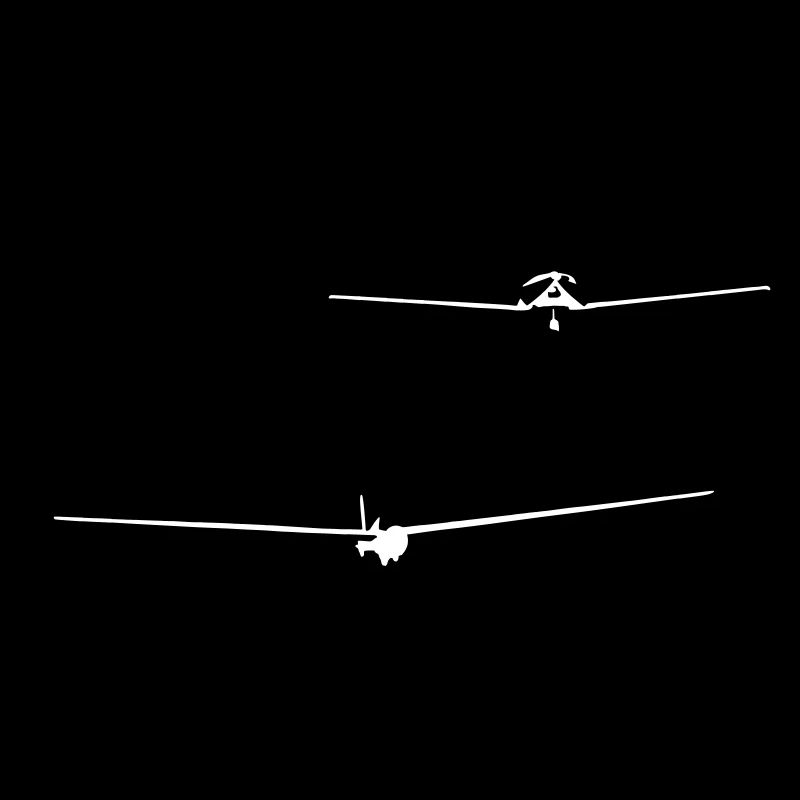 Fschlepp Plane Pilot Pilot Motor Plane