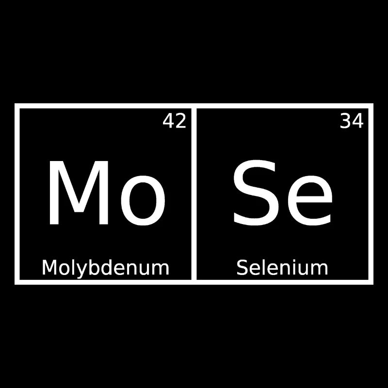 Moses Name First Name Chemistry Periodic Table Elements