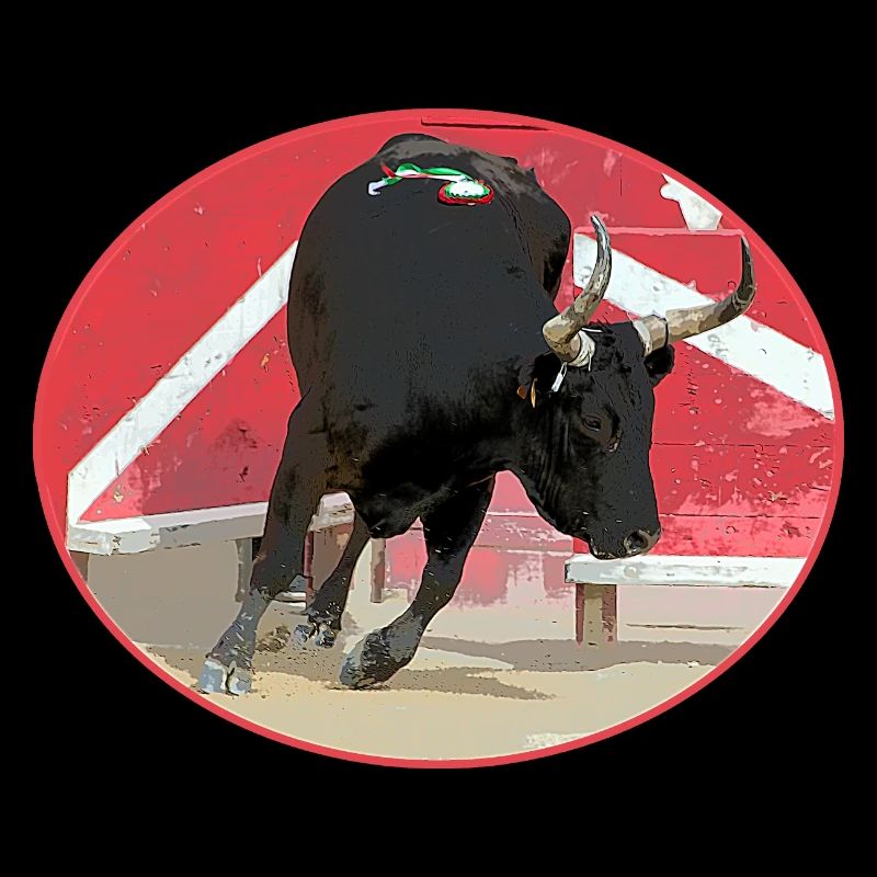 Oval Camargue bull