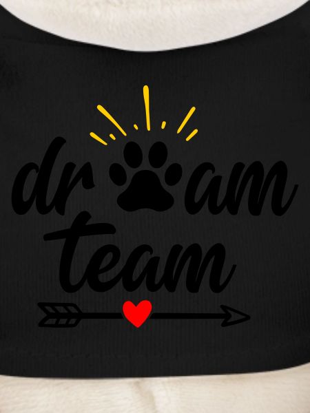 Dream Team