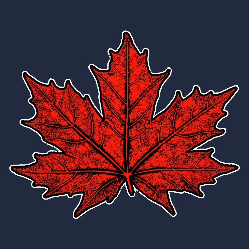 Maple / Leaf