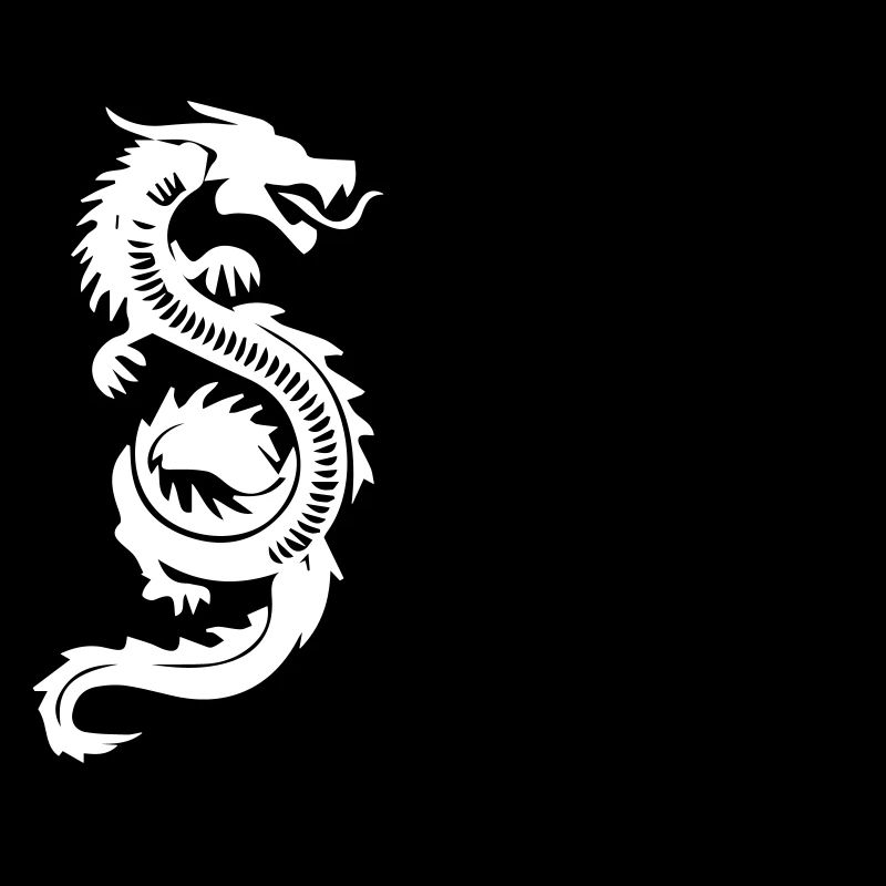 Dragon de Qigong