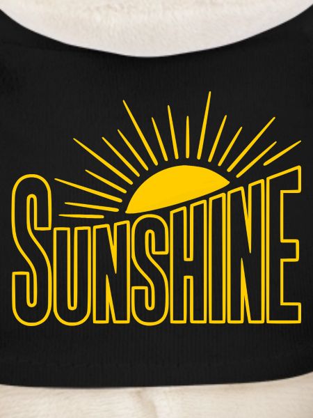 Sunbeam Sunshine Logo