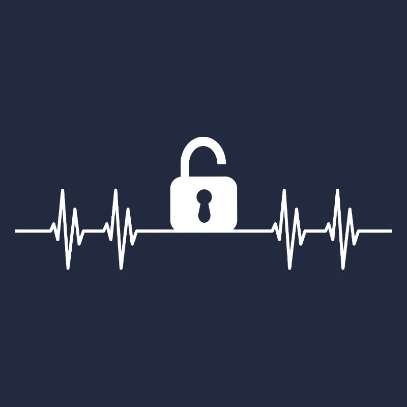 Lock Picker Lockpicking