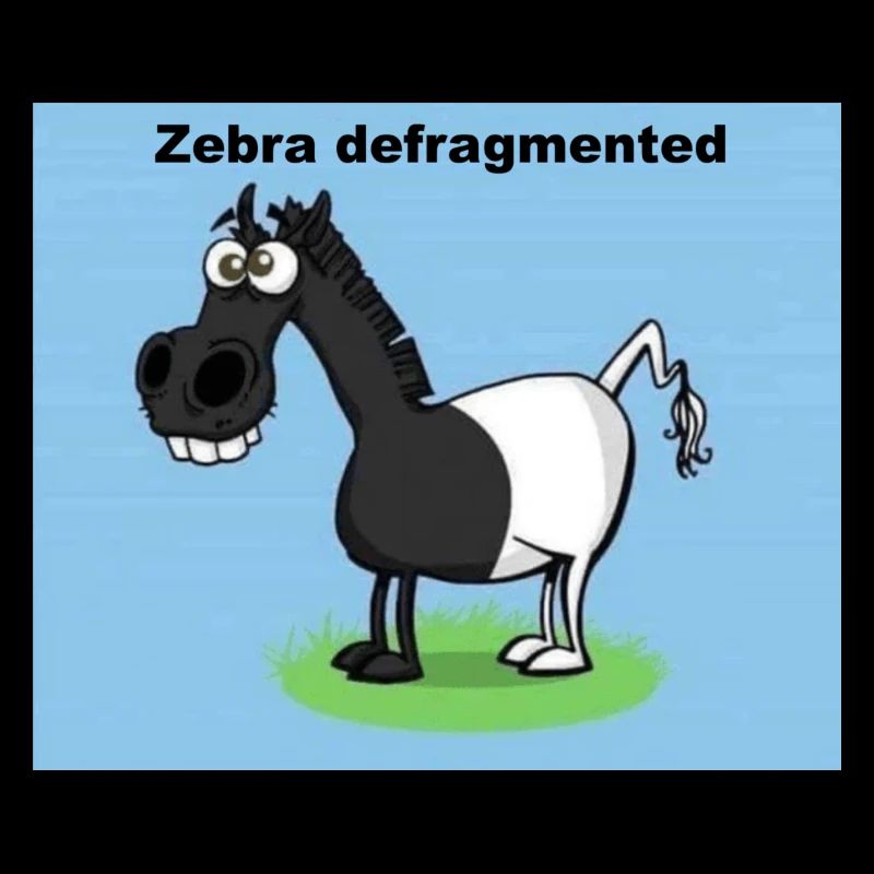 Zebra defragmented
