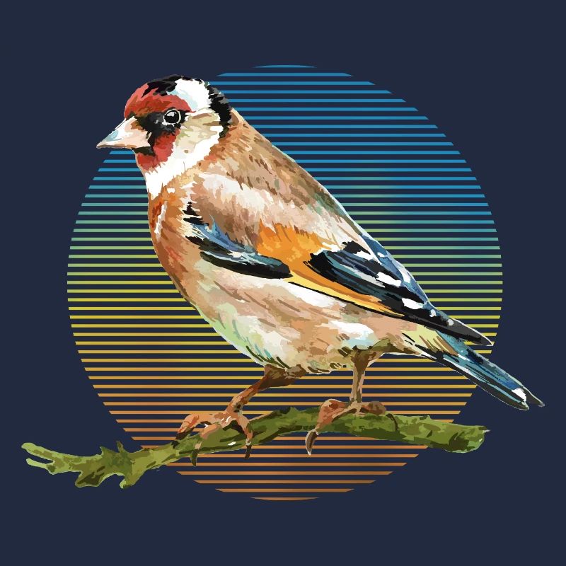 Oiseau coloré