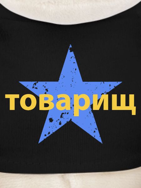 товарищ