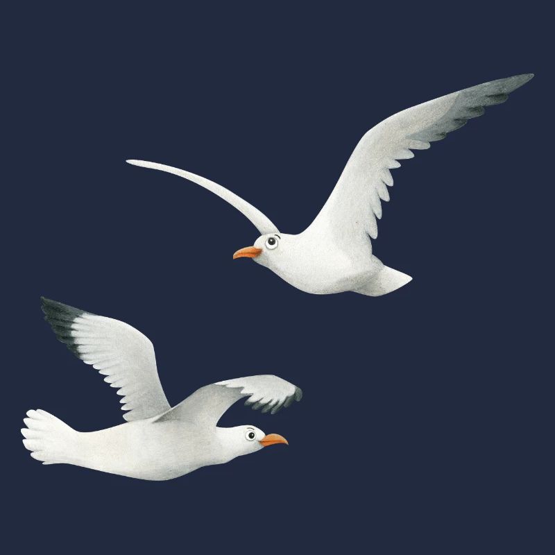 funny seagulls