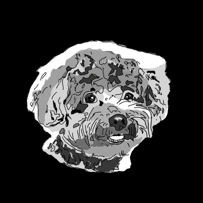 Caniche
