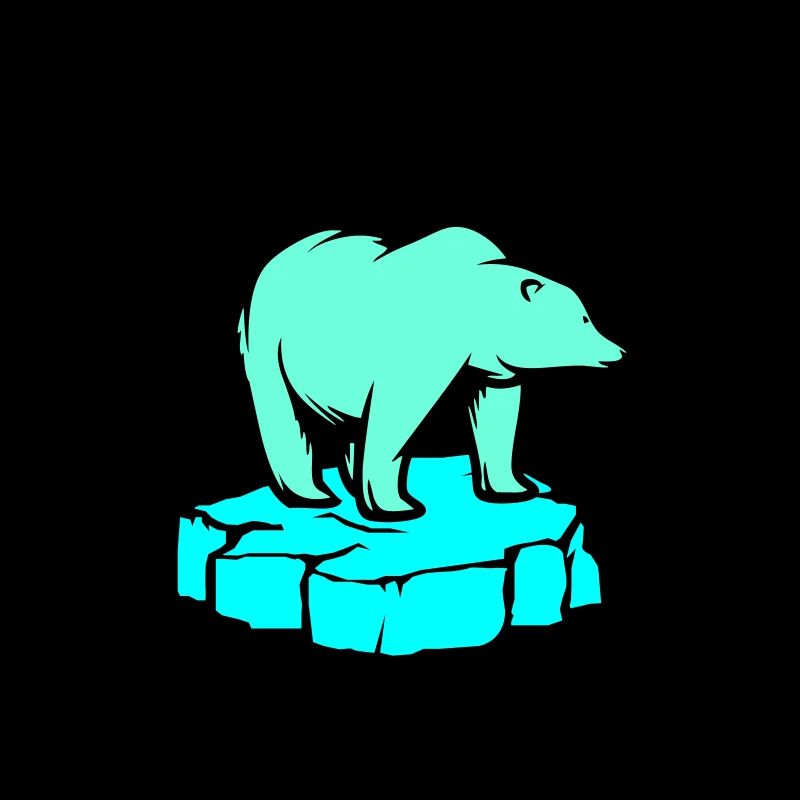 Ours polaire Pôle Nord
