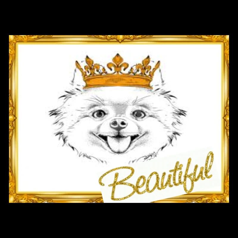 Beautyful, T-shirt, Pullover, Accessoires