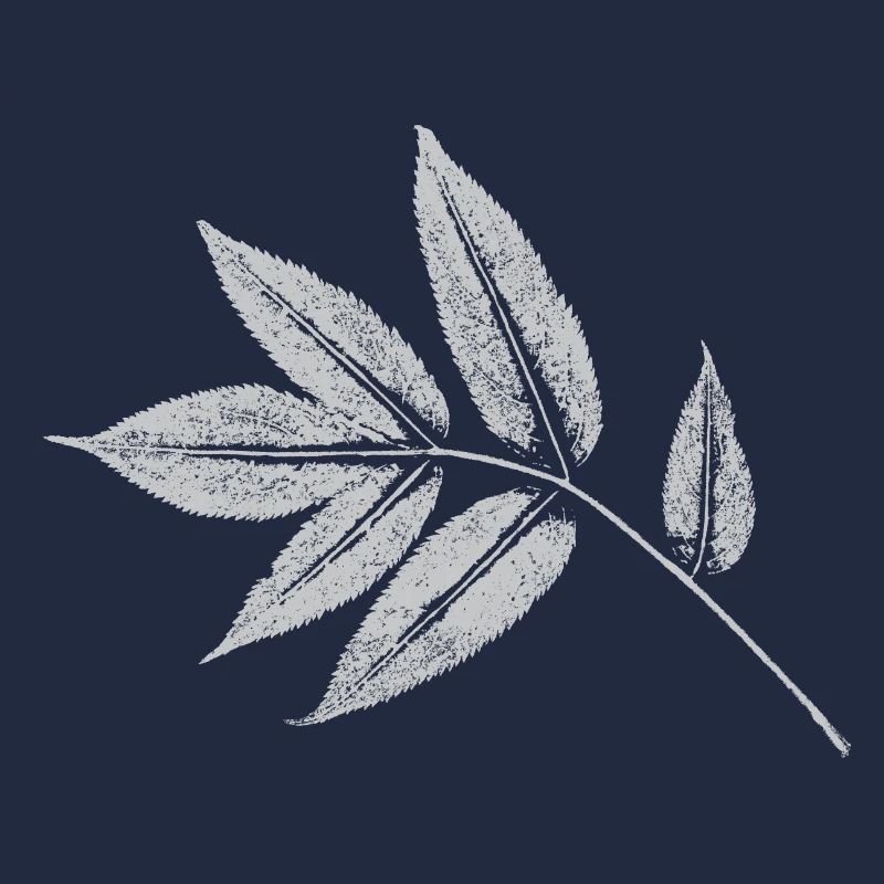 Leaf Ash - Nature & Forest Botanical