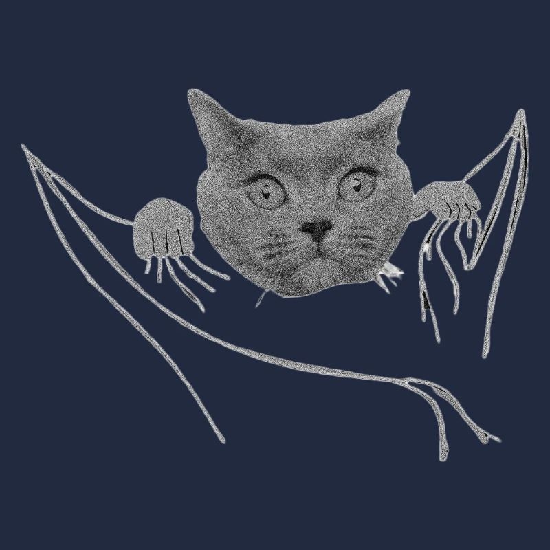 Chat dans votre poche Chat