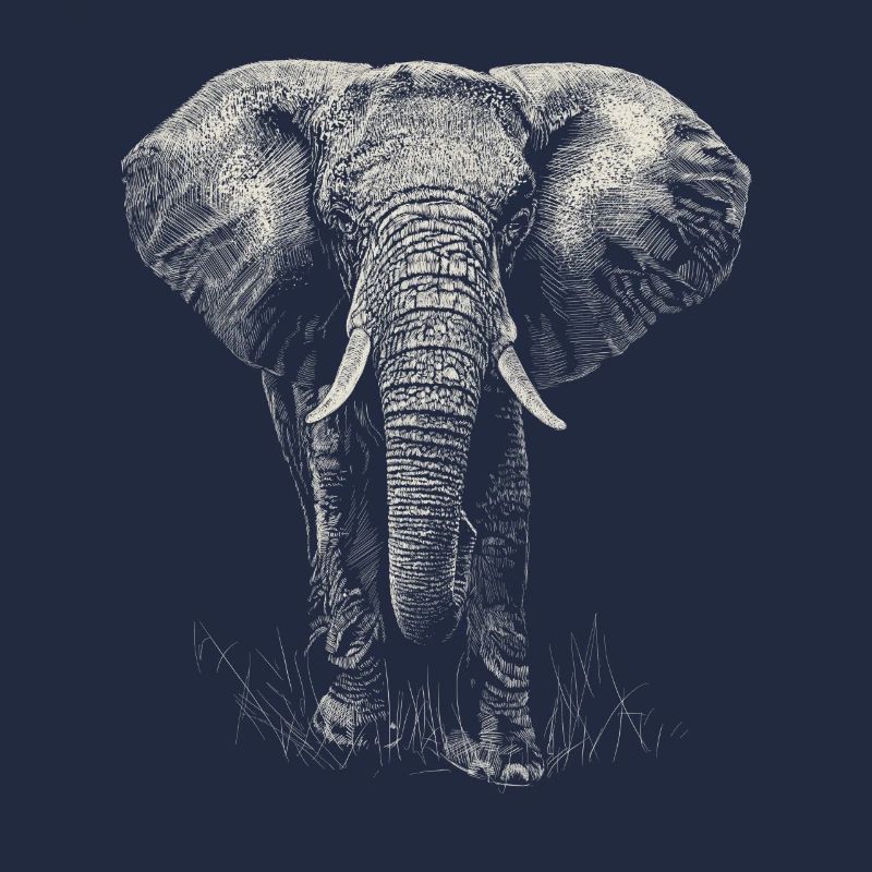 Elefant