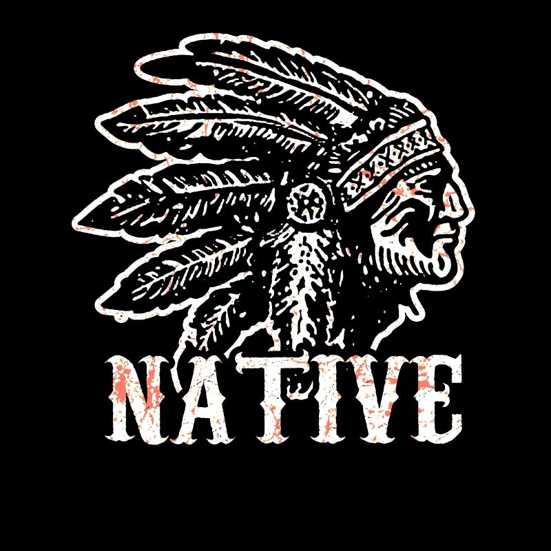 Indianer Ureinwohner Native Geschichte USA