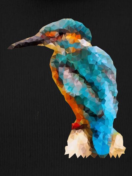 Kingfisher