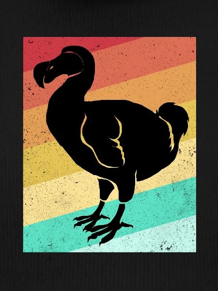 Dodo