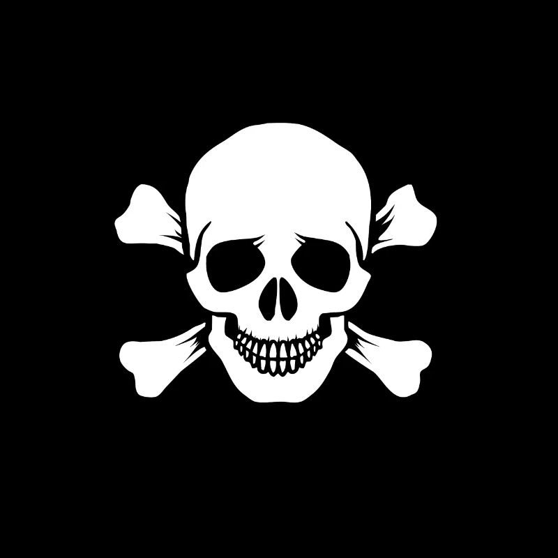 Tête de mort Skull