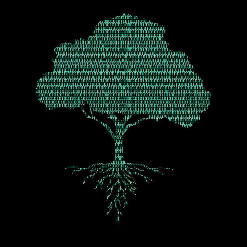 Informatik Computer Programmierer Informatiker