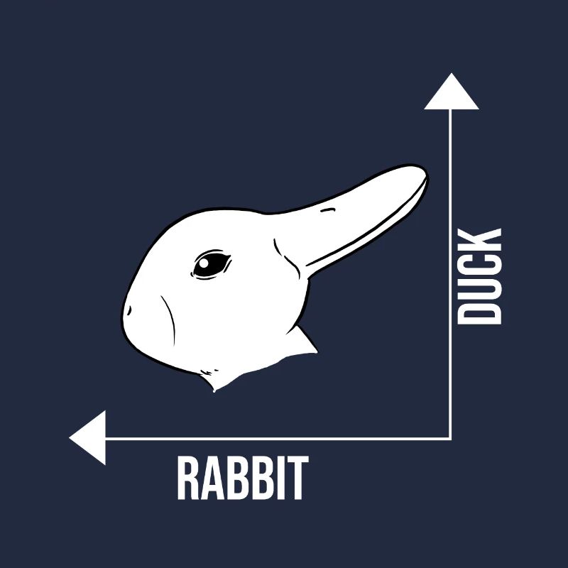 Bunny duck illusion optical illusion