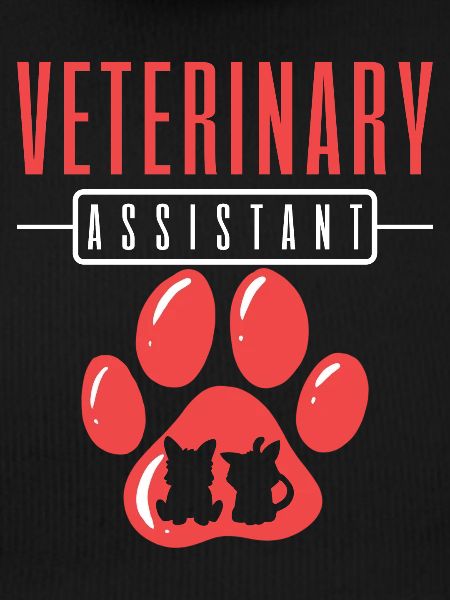 Veterinary Assistant Vet Tech