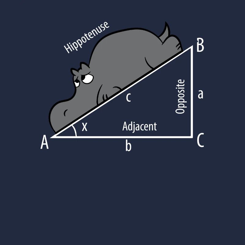 Mathe Pythagore Hypothenuse Hippopotame