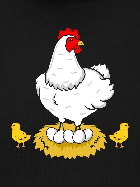 Chicken hen rooster eggs