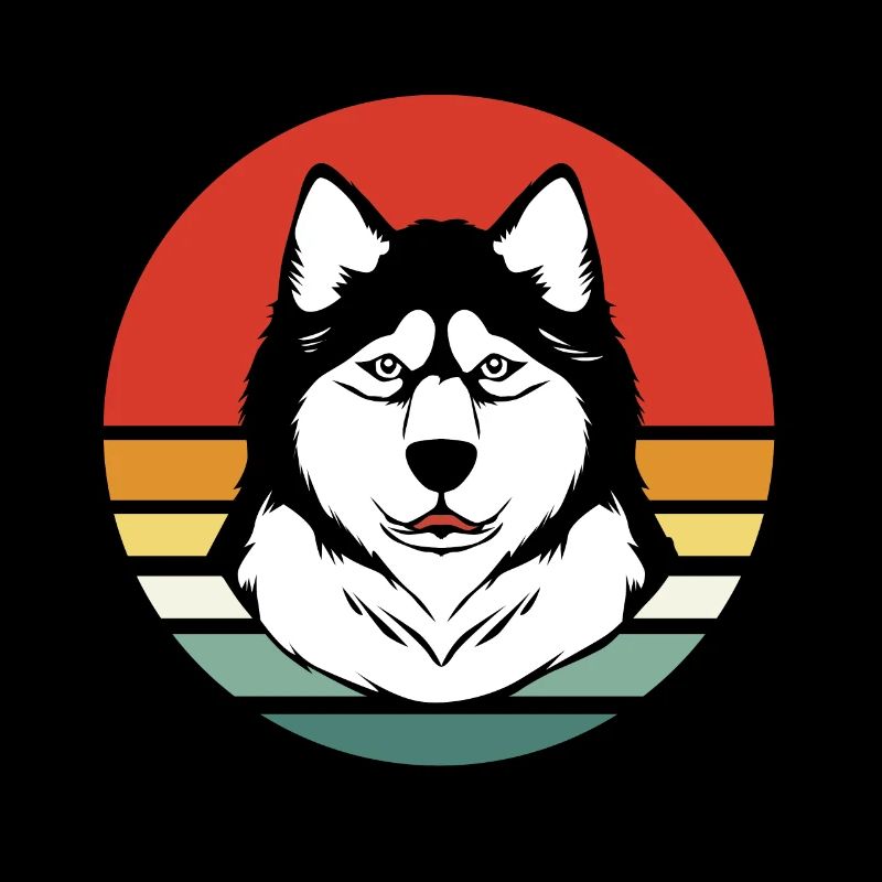 Chien de traîneau Malamute