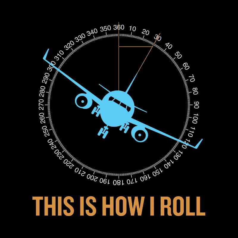 This Is How I Roll Airplane
