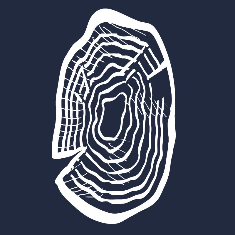 Disque de bois