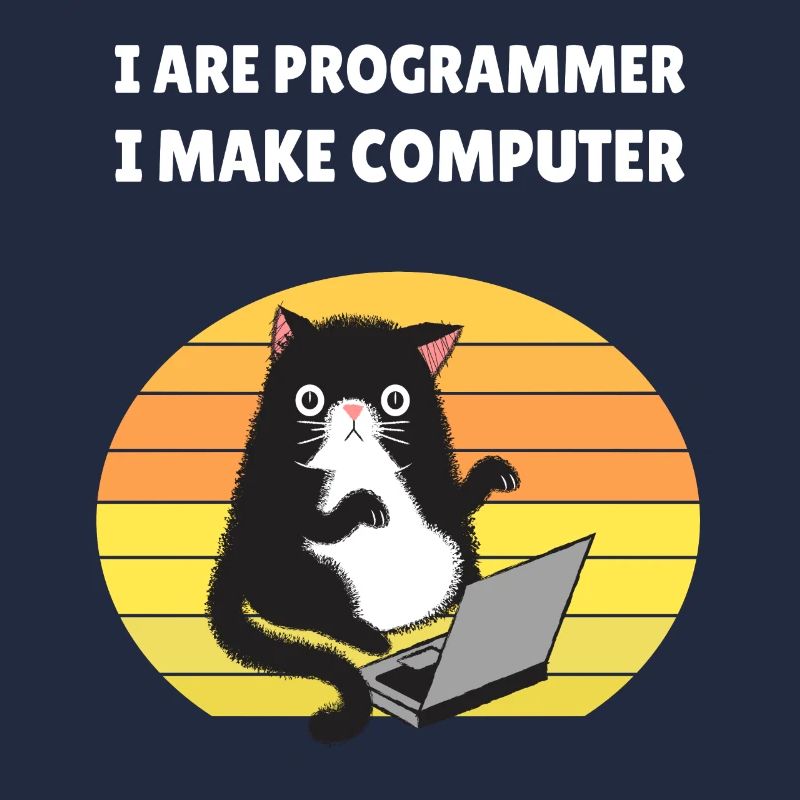 I are Programmer I Make Computer