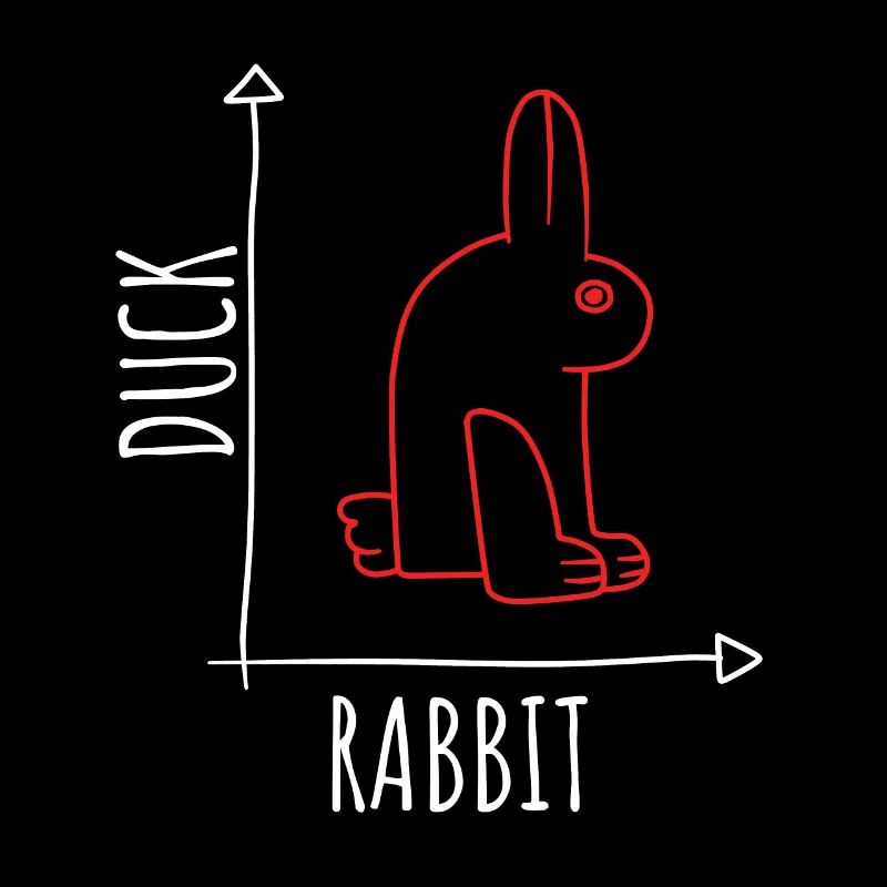 Illusion d’optique Canard Lapin Illusion Wittgenstein