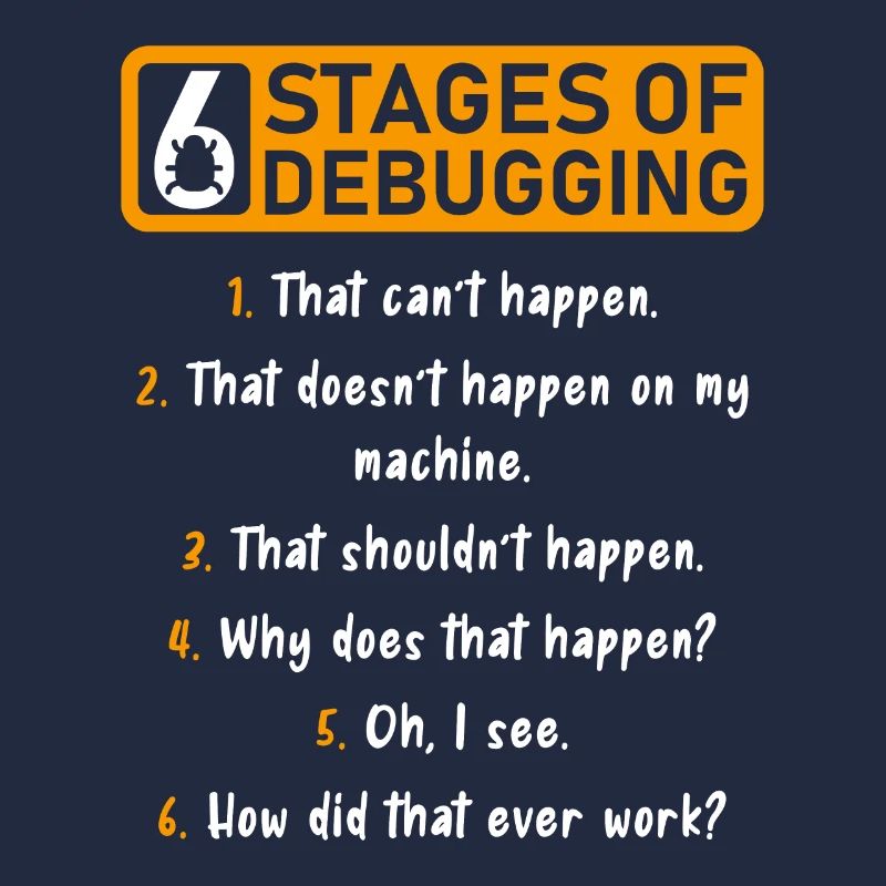 6 Stufen des Debugging Software Entwickler