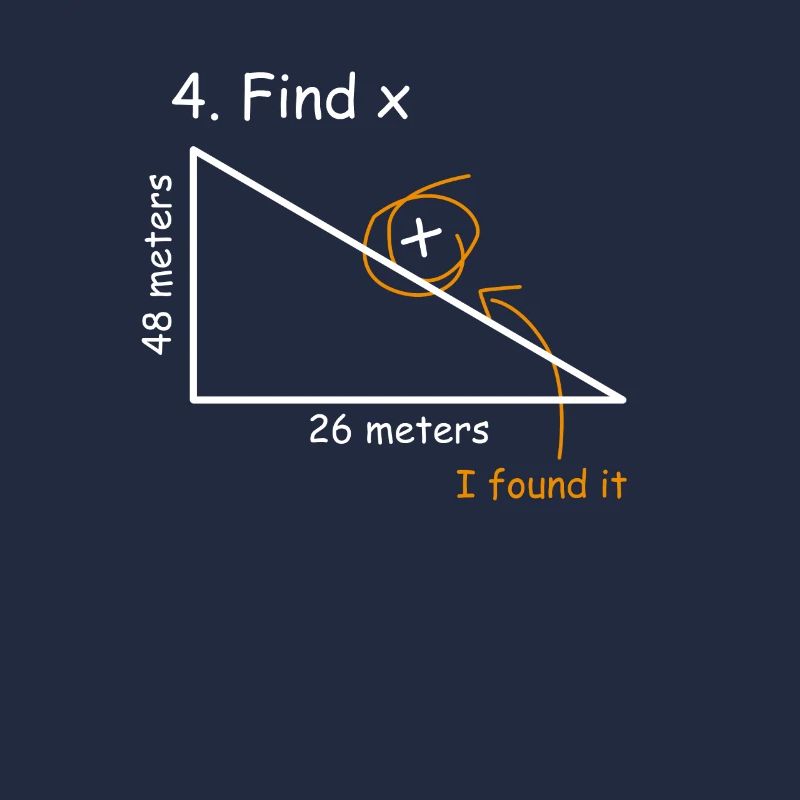 Math teacher Hypotenuse Find x Pythagorean's theorem